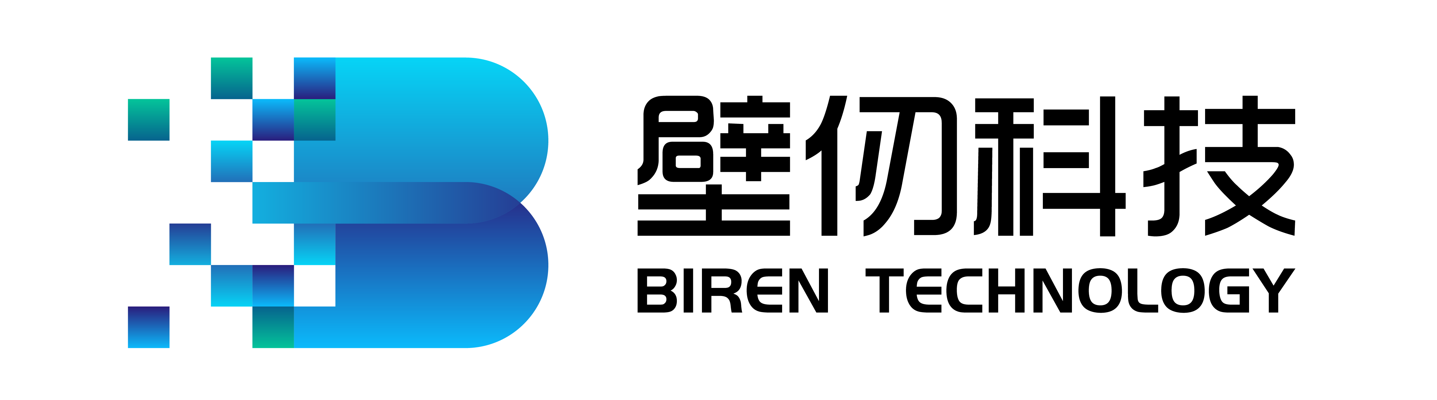 Biren Technology logo